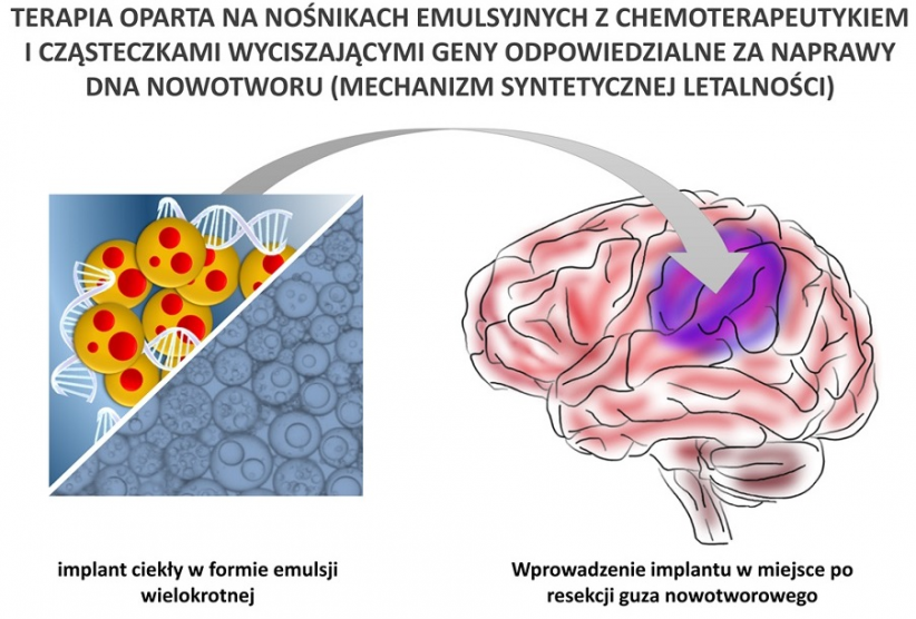 Ilustracja przedstawiająca terapię opartą na nośnikach emulsyjnych z chemoterapeutykiem i cząsteczkami wyciszającymi geny odpowiedzialne za naprawy DNA nowotworu.